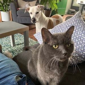 Meet your Posher, Travis